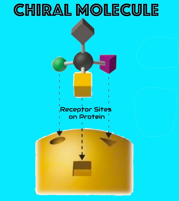 chiral molecule fitting