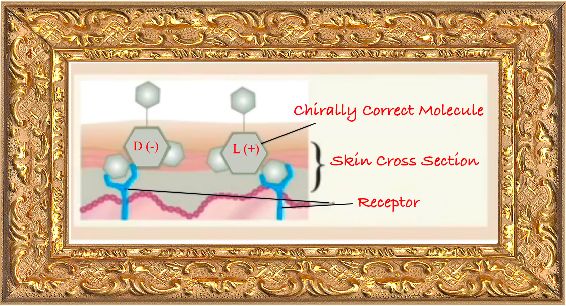 Chirally correct molecule fitting a skin receptor