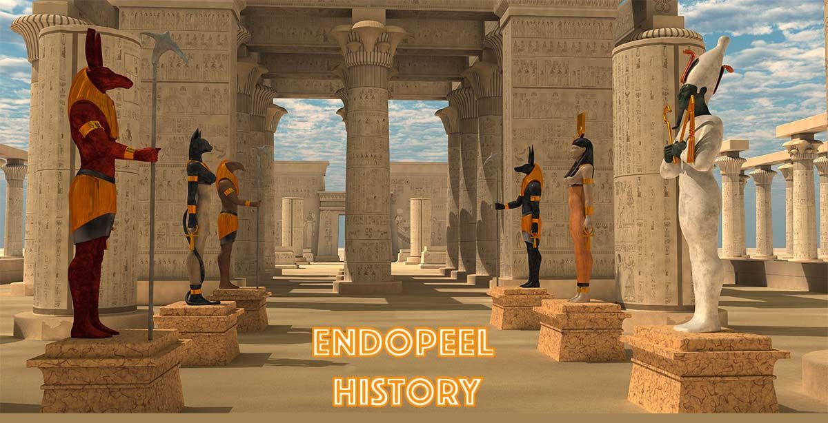 history-endopeel